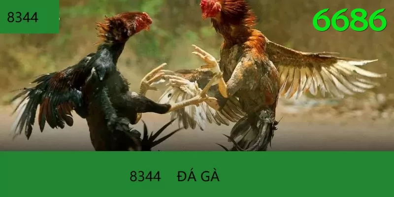 Trường Đấu Đá Gà Chuyên Nghiệp - Game xây dựng